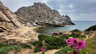 Cala Grande - Capo Testa null