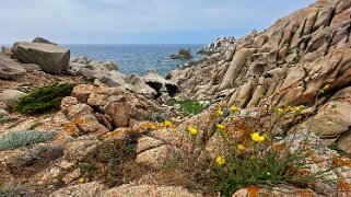 Capo Testa null