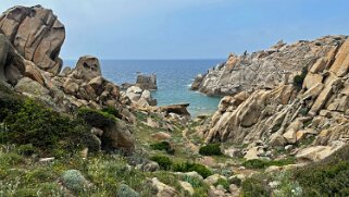 Capo Testa null