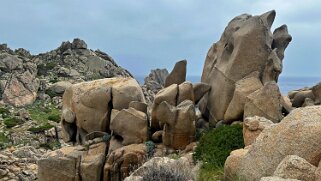 Capo Testa null