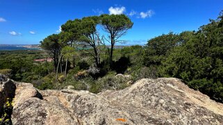 Caprera null