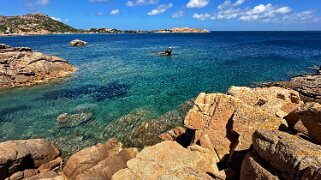 La Maddalena null