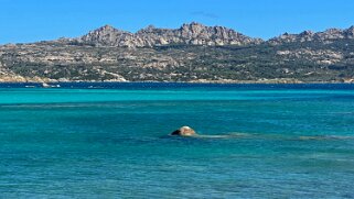 Giardinelli - La Maddalena null