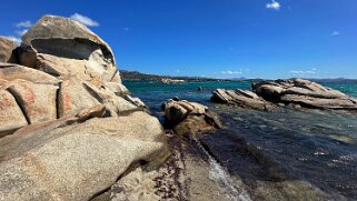 Giardinelli - La Maddalena null