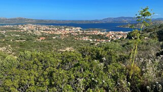 La Maddalena null