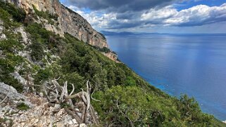 Cala Mariolu null