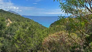 Sentiero Cala Fuili - Cala Luna null