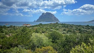 Porto San Paolo null