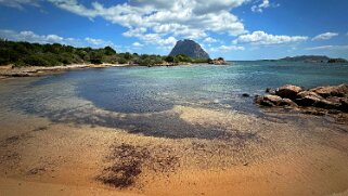 Cala Finanza - Porto San Paolo null