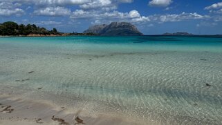 Porto Istana null