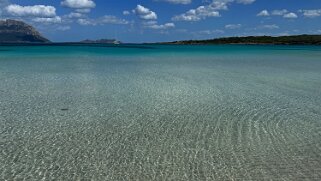 Porto Istana null