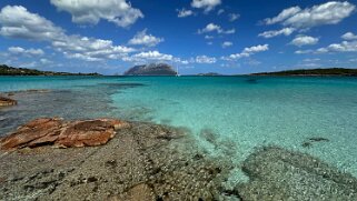Porto Istana null