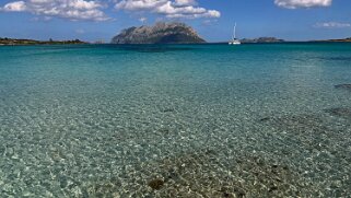 Porto Istana null