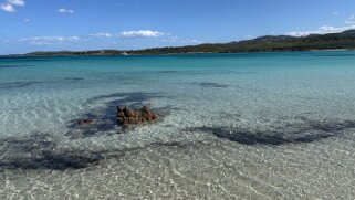 Porto Istana null
