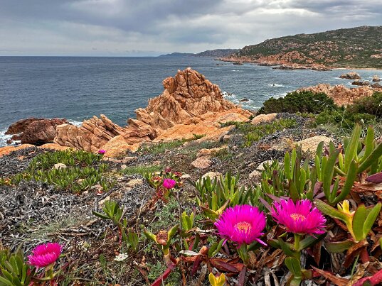 Punta Canneddi Sardaigne - Italie