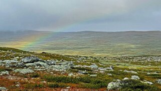 Vakkotavarekåtan - Teusajaure null