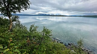 Abisko null