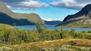 Kaitumjaure null