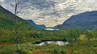 Kaitumjaure - Singi null