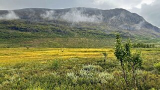 Abiskojaure - Abisko null