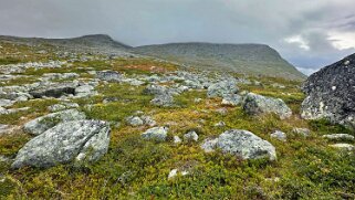 Vakkotavarekåtan - Teusajaure null
