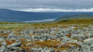 Vakkotavarekåtan - Teusajaure null