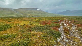 Vakkotavarekåtan - Teusajaure null