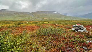 Vakkotavarekåtan - Teusajaure null