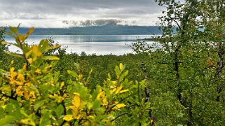 Abisko null