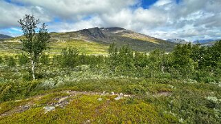 Teusajaure - Kaitumjaure null