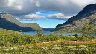 Kaitumjaure null