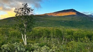 Kaitumjaure null