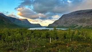 Kaitumjaure null