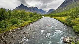Nallostugan - Vistasstugan null