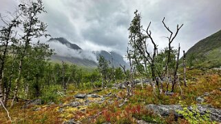 Vistasstugan - Alesjaure null