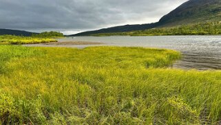 Abiskojaurestugorna - Abisko null