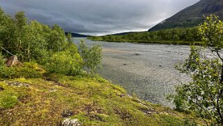 Abiskojaurestugorna - Abisko null