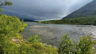 Abiskojaurestugorna - Abisko null