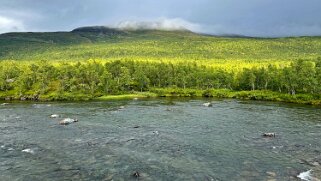 Abiskojaurestugorna - Abisko null