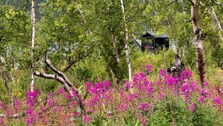 Abiskojaurestugorna - Abisko null