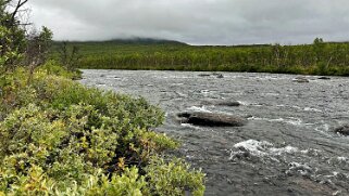 Abiskojaurestugorna - Abisko null