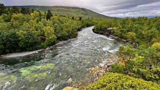 Abiskojaurestugorna - Abisko null