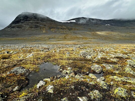 J5 Sälkastugan - Nallostugan Kungsleden - Laponie suédoise