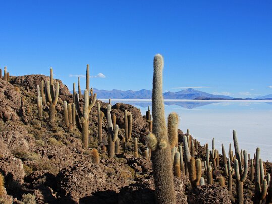 Atacama & Sud-Lipez 2011 Chili & Bolivie