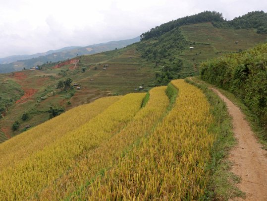 Vietnam 2019 Vietnam